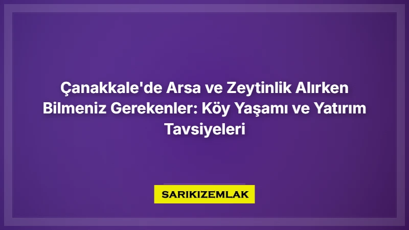 Çanakkale'de Arsa Ve Zeytinlik Alırken Bilmeniz Gerekenler: Köy Yaşamı Ve Yatırım Tavsiyeleri - Sarıkız Emlak Rehberi