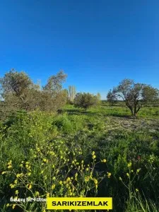 Çanakkale Eceabat Alçıtepe Köyünde Şehitler Abidesi Manzaralı Satılık Tarla  - Alçıtepe Eceabat Çanakkale Satılık Tarla - 3