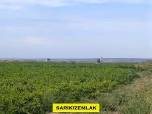Merkez Kumkale Köyünde Müstakil Hobi Bahçesi Yol, Su Mevcut - Kumkale Merkez Çanakkale Satılık Tarla - 2