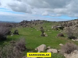 ÇANAKKALE EZİNE YAYLACIK KÖYÜNDE DENİZ MANZARALI 61.125 M2 ARAZİ - Yaylacık Ezine Çanakkale Satılık Tarla - 4