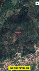 Edremit Ortaoba Satılık Zeytinlik - 2