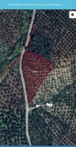 Edremit Çamcı Satılık Zeytinlik - 3