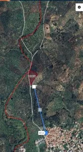 Edremit Çamcı Satılık Zeytinlik - 6
