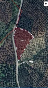 Edremit Çamcı Satılık Zeytinlik - 7