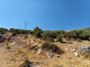 Edremit ATATÜRK Satılık Konut - 5