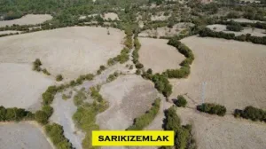 Lapseki Balcılar Köye 500 mt Mesafede Su&Yol Mevcut Fırsat Arazi - Balcılar Lapseki Çanakkale Satılık Tarla - 2