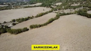 Lapseki Balcılar Köye 500 mt Mesafede Su&Yol Mevcut Fırsat Arazi - Balcılar Lapseki Çanakkale Satılık Tarla - 3