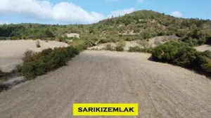 Lapseki Balcılar Köye 500 mt Mesafede Su&Yol Mevcut Fırsat Arazi - Balcılar Lapseki Çanakkale Satılık Tarla - 5