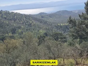 Balıkesir Edremit Kavlaklar Satılık Zeytinlik - Edremit Kavlaklarda Satılık Muhteşem Deniz Manzaralı Zeytinlik