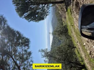 Edremit Kavlaklarda Satılık Muhteşem Deniz Manzaralı Zeytinlik - Kavlaklar Edremit Balıkesir Satılık Zeytinlik - 4