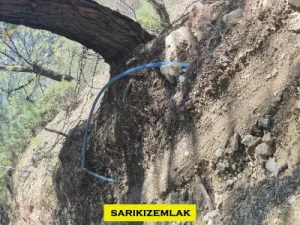 Edremit Kavlaklarda Satılık Muhteşem Deniz Manzaralı Zeytinlik - Kavlaklar Edremit Balıkesir Satılık Zeytinlik - 7