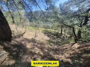 Edremit Kavlaklarda Satılık Muhteşem Deniz Manzaralı Zeytinlik - Kavlaklar Edremit Balıkesir Satılık Zeytinlik - 8