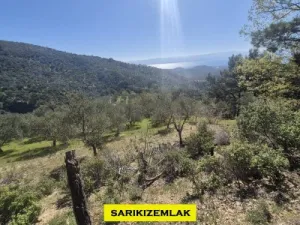 Edremit Kavlaklarda Satılık Muhteşem Deniz Manzaralı Zeytinlik - Kavlaklar Edremit Balıkesir Satılık Zeytinlik - 12