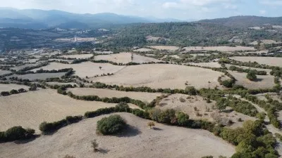 Çanakkale Lapseki Satılık Tarla 10400m² Köye Yakın Fırsat! - Balcılar Lapseki Çanakkale Satılık Tarla - 3