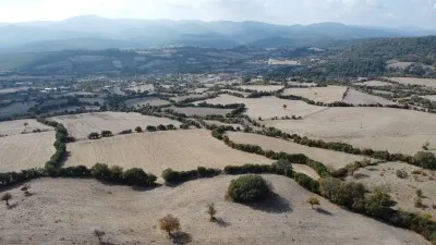 Çanakkale Lapseki Satılık Tarla 10400m² Köye Yakın Fırsat! - Balcılar Lapseki Çanakkale Satılık Tarla - 4