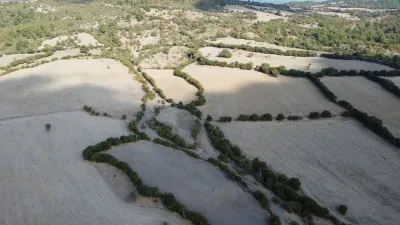 Çanakkale Lapseki Satılık Tarla 10400m² Köye Yakın Fırsat! - Balcılar Lapseki Çanakkale Satılık Tarla - 8