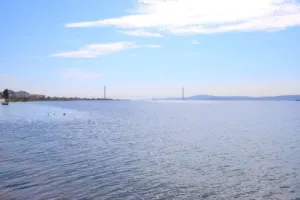 Lapseki Çardak 3+1 Satılık Yalı Dairesi - 11