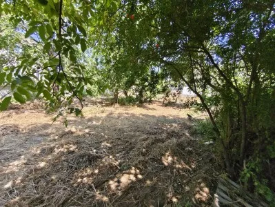 Edremit Hamidiye Satılık Villa - 14