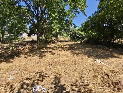 Edremit Hamidiye Satılık Villa - 15