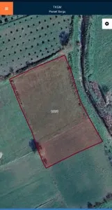 Burhaniye KIZIKLI Satılık Tarla - 3