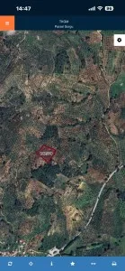Edremit Çamcı Satılık Zeytinlik - 6