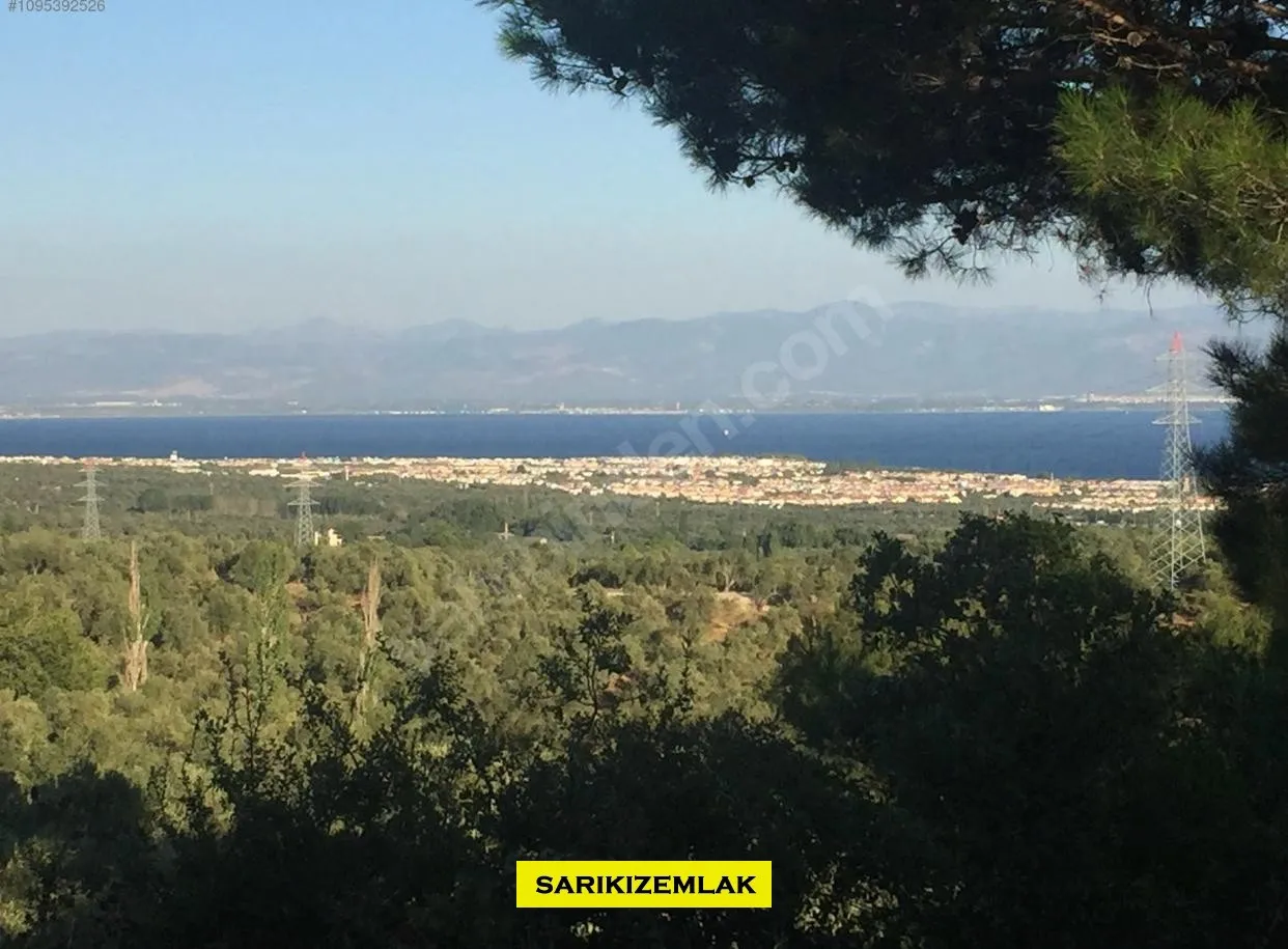Edremit Avcılar Satılık Zeytinlik