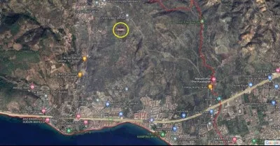 Edremit Avcılar Satılık Zeytinlik - 2