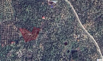 Edremit Avcılar Satılık Zeytinlik - 4