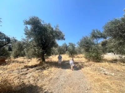 Edremit Çamlıbel For Sale Arsa - 11