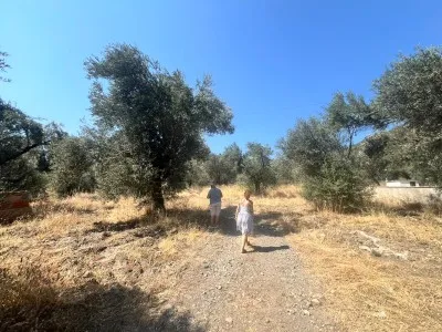 Edremit Çamlıbel For Sale Arsa - 10