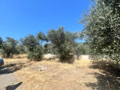 Edremit Çamlıbel For Sale Arsa - 12