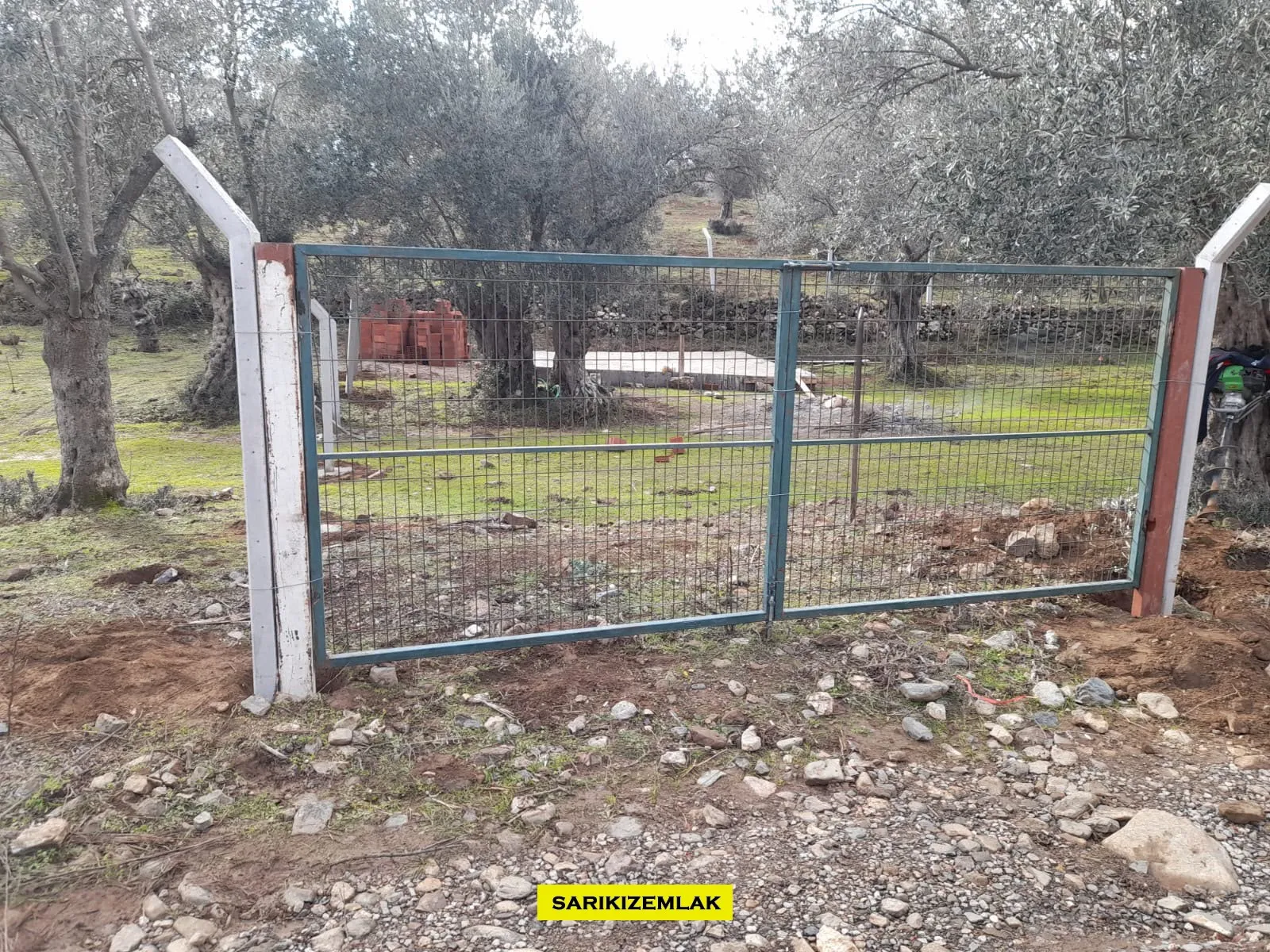 Edremit Güre Satılık Zeytinlik