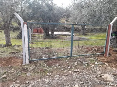Edremit Güre Satılık Zeytinlik - 1