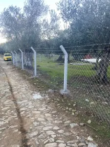 Edremit Güre Satılık Zeytinlik - 19