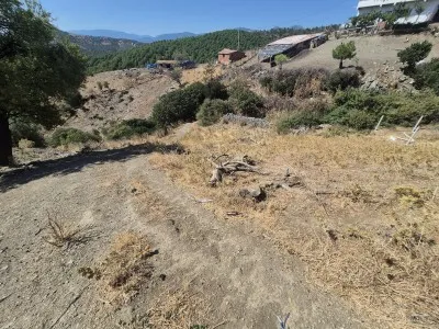 Havran Kalabak Satılık Arsa - 1