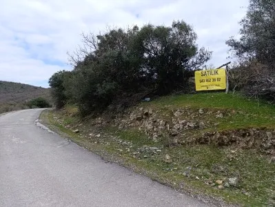 Merkez Kocalar Satılık Tarla - 8